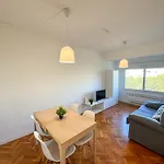 Casa de hóspedes Velasco Urban - Turistea 3*